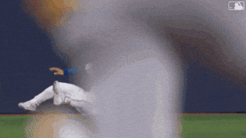 Blue Jays Baseball GIF by Toronto Blue Jays
