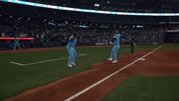 Blue Jays Baseball GIF by Toronto Blue Jays