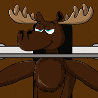 DoYouMoose workout gym nft blockchain GIF