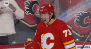 Ice Hockey Sport GIF by NHL