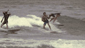 the movie beach GIF