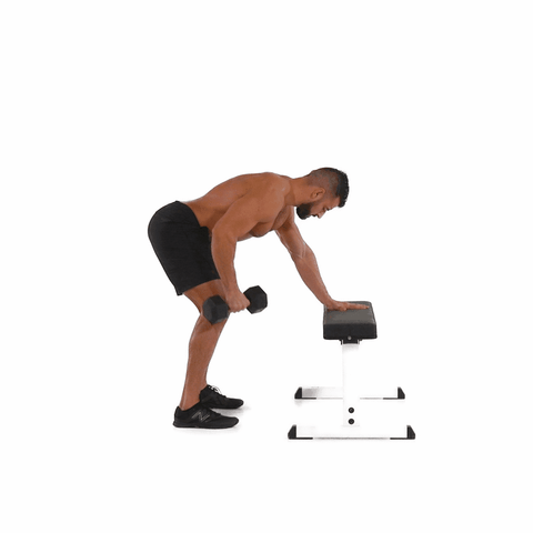 standing dumbbell single arm supported row GIF