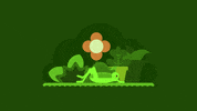 animation design GIF