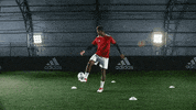 leo messi wow GIF by adidas
