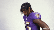 Football What GIF by Baltimore Ravens