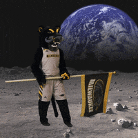 panthers pounce GIF by UW-Milwaukee
