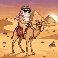 Shiba Inu Illustration GIF by Doge Pound