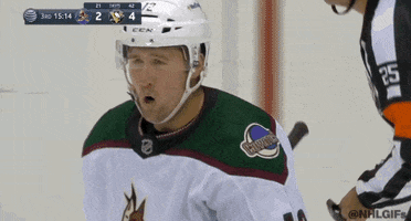 Happy Ice Hockey GIF by NHL