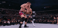 All Elite Wrestling GIF by AEWonTV