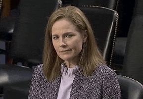 Senate Judiciary Committee Lol GIF by GIPHY News