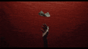 subpoprecords sub pop subpop daveed diggs clipping GIF