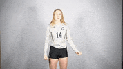 Iwutitans Tgoe GIF by iwusports