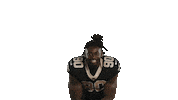 Football Sport Sticker by New Orleans Saints