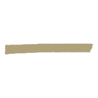 Gold Line Fashion Sticker by Omoda
