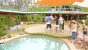Excited Fun GIF by Big Brother Australia