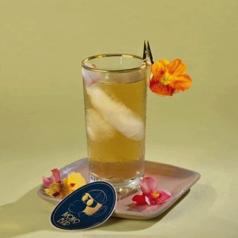 camiladomnguez3bd3 giphygifmaker GIF