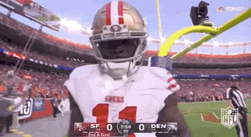 San Francisco 49Ers Football GIF by NFL