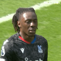 Crystal Palace Walk GIF by Crystal Palace Football Club
