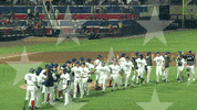 Baseball Win GIF by Cannon Ballers