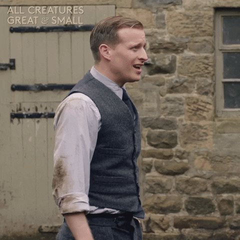 allcreaturestv animals well done pat shoulder GIF