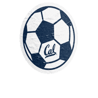 Uc Berkeley College Soccer Sticker by Cal Athletics