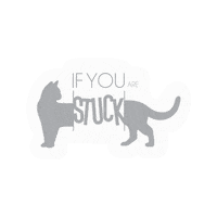 Cat Drink Sticker by Lady Buddha Kombucha