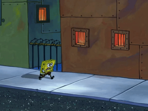 season 5 GIF by SpongeBob SquarePants