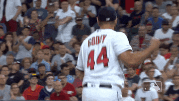 Major League Baseball Sport GIF by MLB