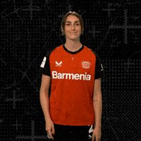 Werkself B04 GIF by Bayer 04 Leverkusen