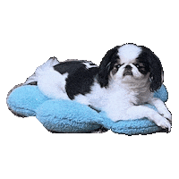 Gary Sticker by Libbie Higgins