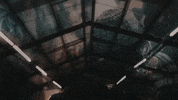 Never Scared Cmg GIF by EST Gee