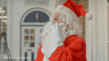 Merry Christmas GIF by Reconnecting Roots