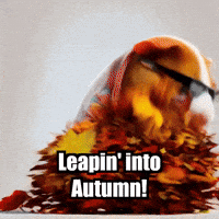 Happy Fall GIF by Guinea Gambino