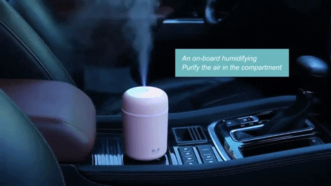 SmartyZebra giphygifmaker GIF