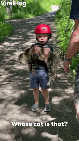Small Boy “Adopts” Neighbor’s Cat