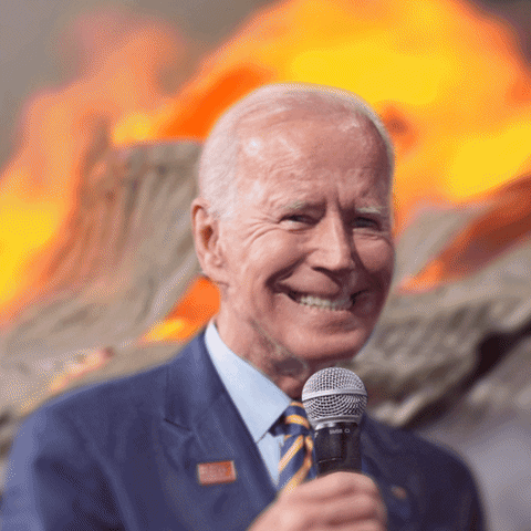 This Is Fine Joe Biden GIF