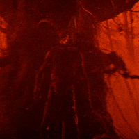 happy birthday sabrina GIF by netflixlat