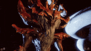 Baldurs Gate Bg3 GIF by Larian Studios