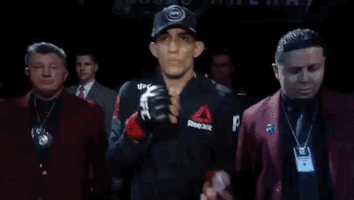 ufc 229 sport GIF by UFC