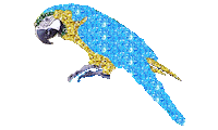 bird STICKER