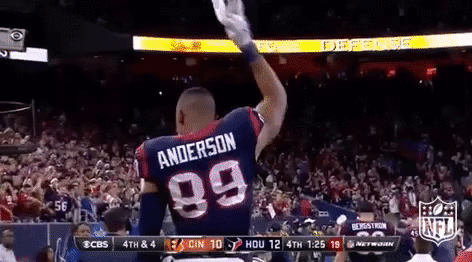 houston texans football GIF by NFL