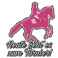 Pony Dressur Sticker