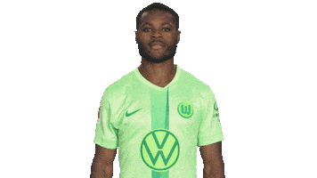 Germany Love Sticker by VfL Wolfsburg