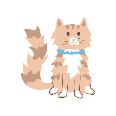 easypetseu giphygifmaker cat max kat Sticker