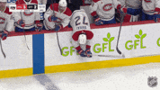 Happy Montreal Canadiens GIF by NHL