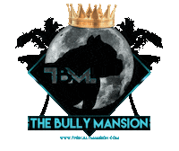 Thebullymansion Sticker by BullysTVShows