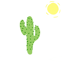 k4ken cat sun desert cactus GIF