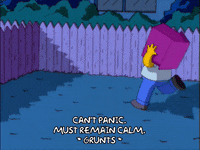 homer simpson house GIF