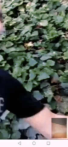 TurkmenYurtTV giphygifmaker GIF