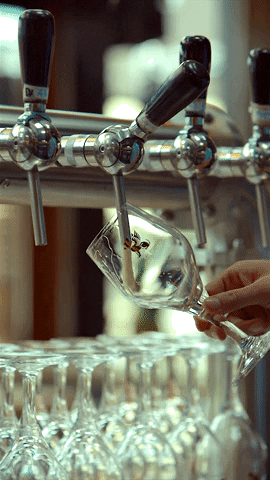 MOUT giphyupload beer bier brewery GIF